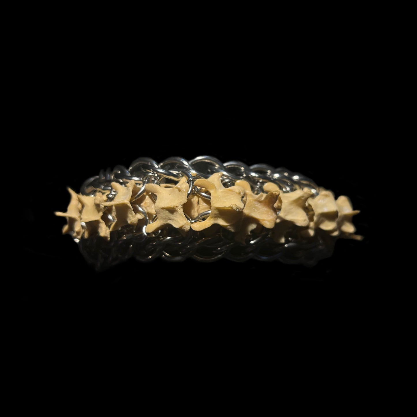 Real Vertebrae Bracelet