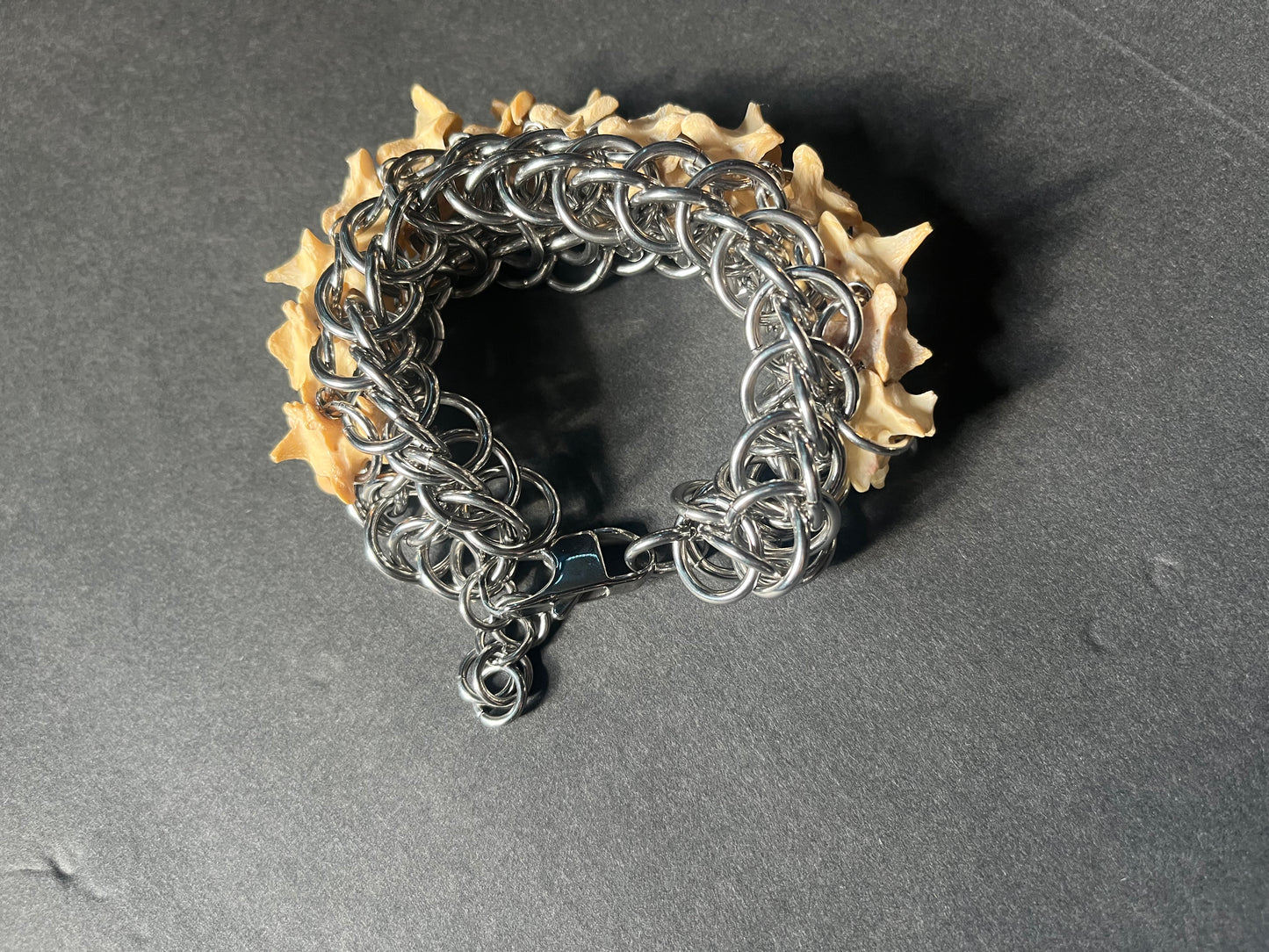 Real Vertebrae Bracelet