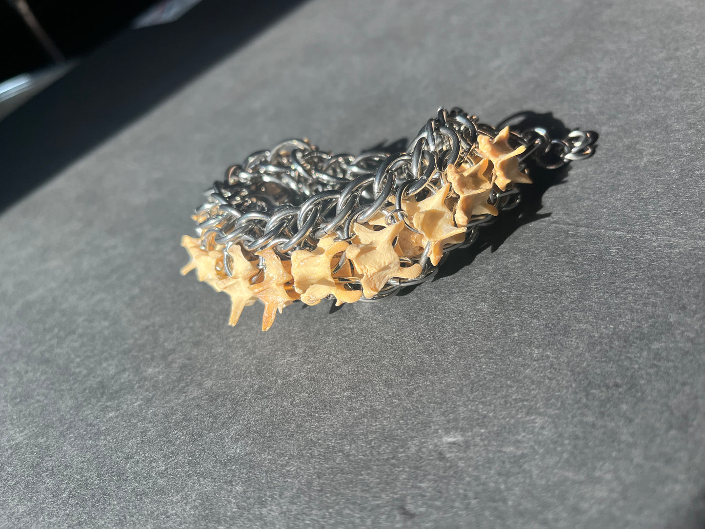 Real Vertebrae Bracelet